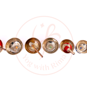 Chakra Attuned Singing Set